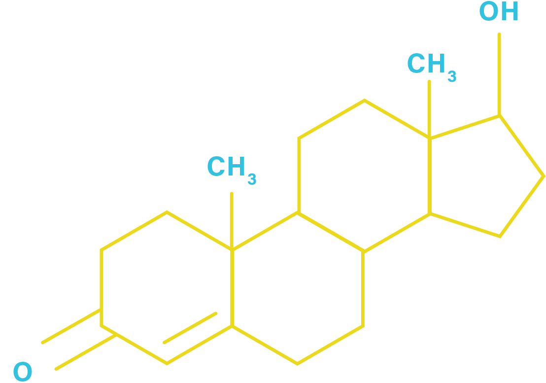 Testosterone infographic art-03 Testosterone chemical makeup