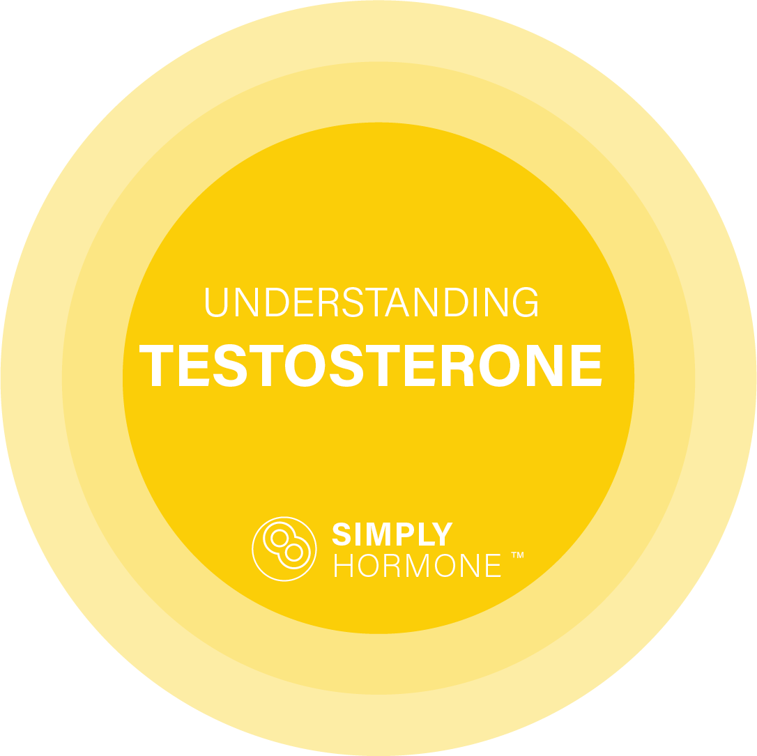 UNDERSTANDING TESTOSTERONE UNDERSTANDING TESTOSTERONE